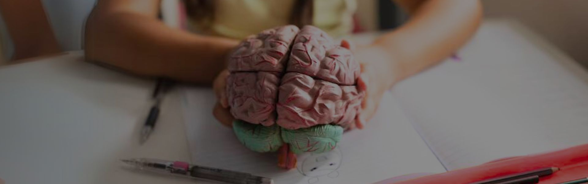 NEUROALFABETIZAÇÃO – com base dos processamentos sensoriais