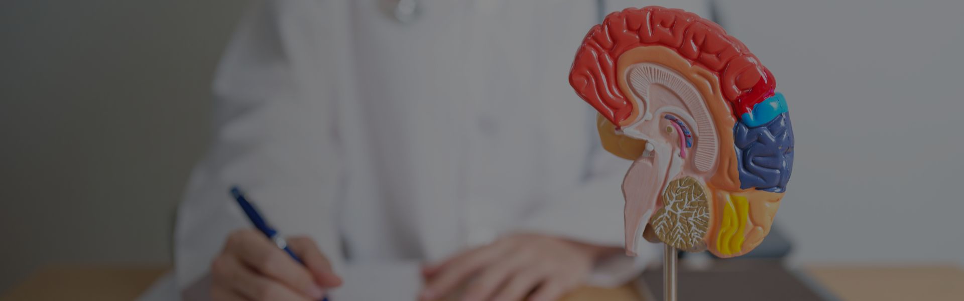 Neurofisiologia da Aprendizagem